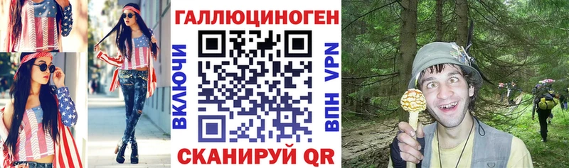Купить где  Ливны  Галлюциногенные грибы Psilocybine cubensis 